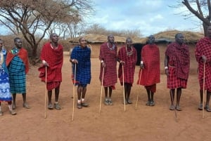 Nairobi: Masai Village Day Tour with Local Guide