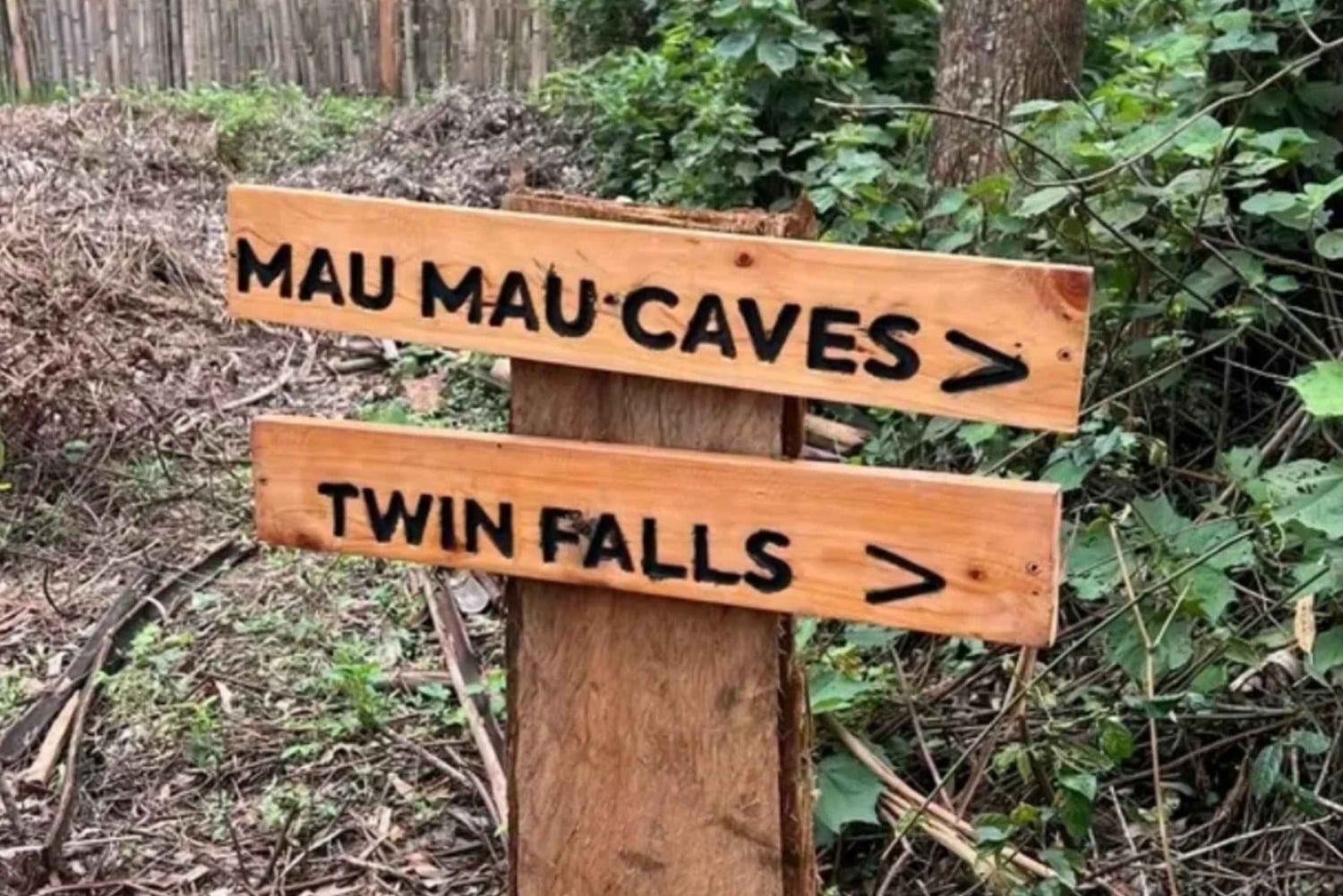 Nairobi: Mau Mau -luolat, köysirata ja päiväkierros piknikillä