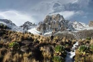 Nairobi: Escursione di un giorno sul Monte Kenya con pranzo