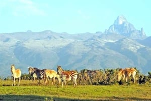 Nairobi: Escursione di un giorno sul Monte Kenya con pranzo