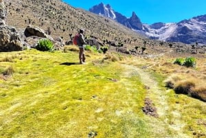 Nairobi: Escursione di un giorno sul Monte Kenya con pranzo