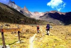 Nairobi: Escursione di un giorno sul Monte Kenya con pranzo