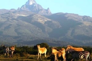 Nairobi: Escursione di un giorno sul Monte Kenya con pranzo