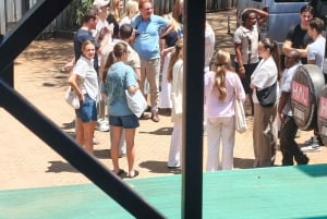 Nairobi: Visita al Museo, KICC, Centro de la Jirafa y Bomas de Kenia