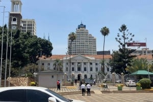 Nairobi: Galleribesök i Nairobi med guidad stadstur