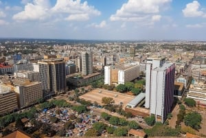 Nairobi: Galleribesök i Nairobi med guidad stadstur