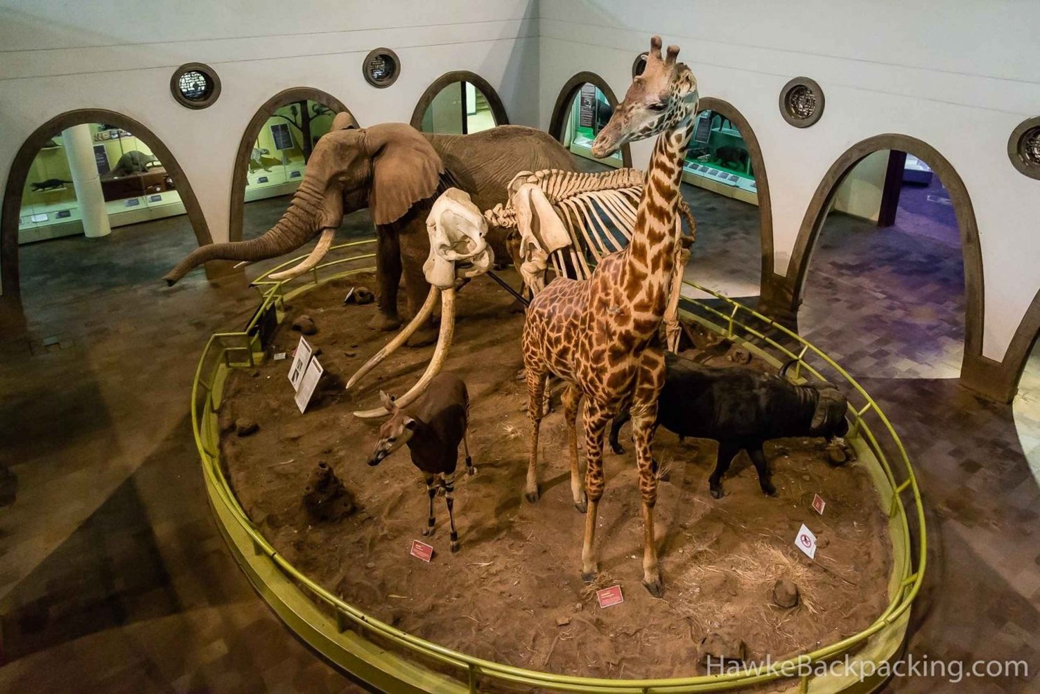 Nairobi : Nairobi National Museum Guided Tour