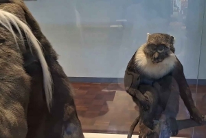 Nairobi : Visita guidata al Museo Nazionale di Nairobi