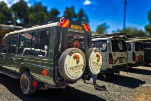 Nairobi: Nairobi National Park 5-hour Guided Game Drive