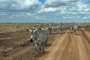 Nairobi: Nairobi National Park 5-hour Guided Game Drive