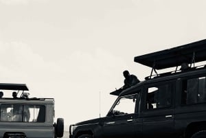 Nairobi: Nairobi National Park 5-hour Guided Game Drive