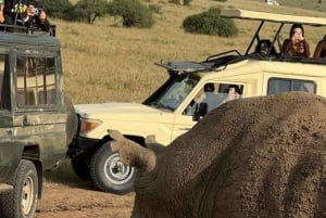 Nairobi: Nairobi-Nationalpark: 5-stündige geführte Pirschfahrt mit Guide