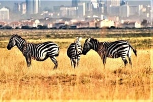 Nairobi National Park 6 uur 's ochtends groepsafspraak voor safari.
