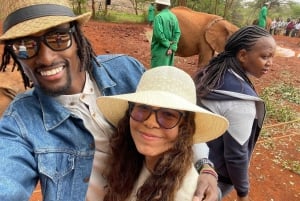 ナイロビ：ナイロビ国立公園と象の孤児院ツアー