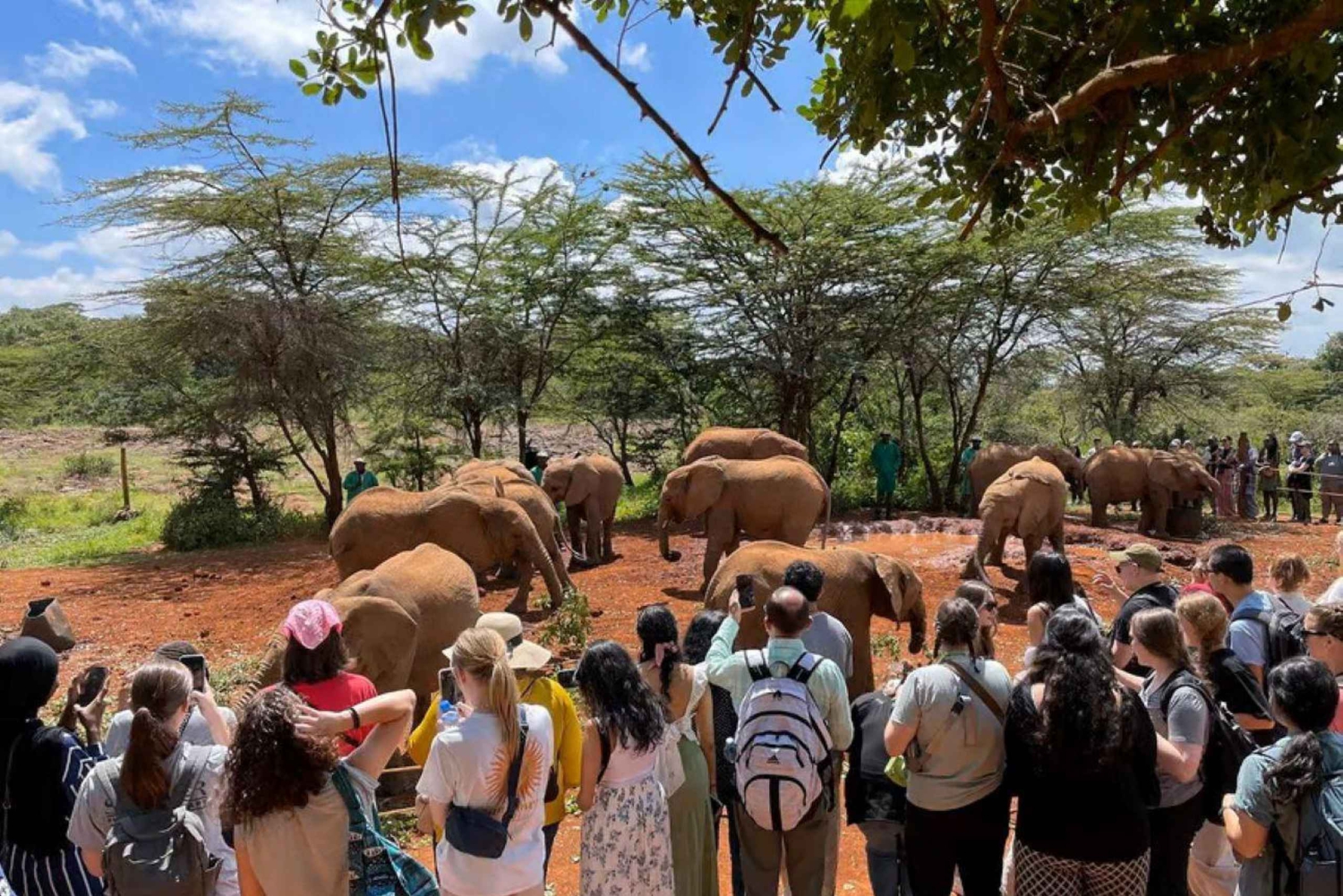 Nairobi;Nairobi National Park, Baby Elephant& Giraffe Center