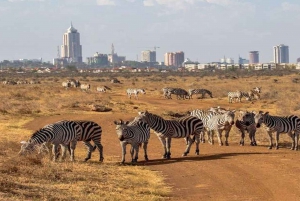 Nairobi;Nairobi National Park, Baby Elephant& Giraffe Center