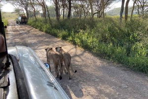 Nairobi: Nairobi National park,Baby elephant &Giraffe center