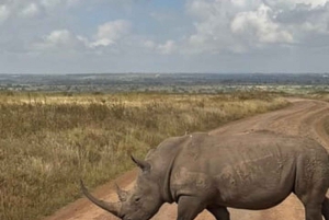 Nairobi: Nairobi National park,Baby elephant &Giraffe center