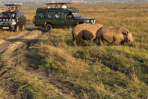 Nairobi: Nairobi National park,Baby elephant &Giraffe center