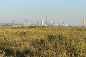 Nairobi: Nairobi National park,Baby elephant &Giraffe center
