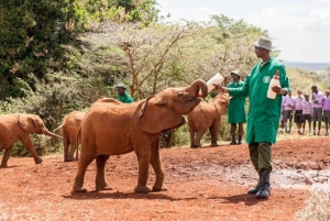Nairobi;Nairobi National Park, Baby Elephant& Giraffe Center