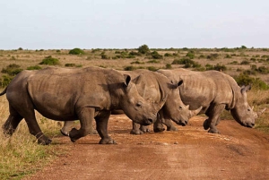 Nairobi;Nairobi National Park, Baby Elephant& Giraffe Center