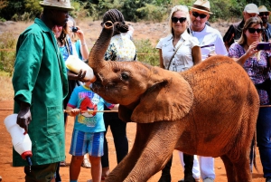 Nairobi;Nairobi National Park, Baby Elephant& Giraffe Center