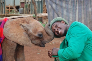 Nairobi;Nairobi National Park, Baby Elephant& Giraffe Center