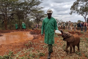 ナイロビ;ナイロビ国立公園、赤ちゃんゾウとキリン センター