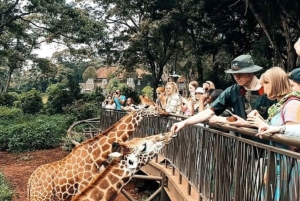ナイロビ;ナイロビ国立公園、赤ちゃんゾウとキリン センター