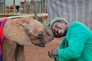 ナイロビ;ナイロビ国立公園、赤ちゃんゾウとキリン センター