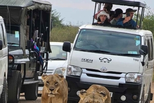 Nairobi: safaris diarios en el Parque Nacional de Nairobi