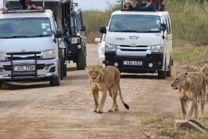 Nairobi: safaris diarios en el Parque Nacional de Nairobi
