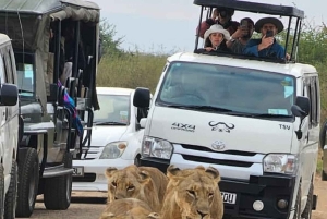 Nairobi: safaris diarios en el Parque Nacional de Nairobi