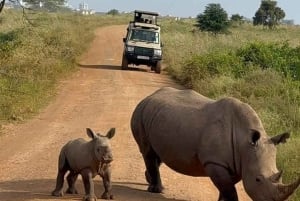 Nairobi: Nairobi National Park Half-Day Game Drive