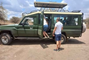 Nairobi: Nairobi National Park Half-Day Game Drive