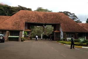 Nairobi: Nairobi National Park Daily Game Drives