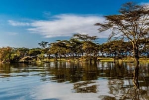 Nairobi: Nakuru National Park and Lake Naivasha Day Tour
