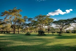 Nairobi: Nakuru Nationaal Park en Lake Naivasha Dagtour