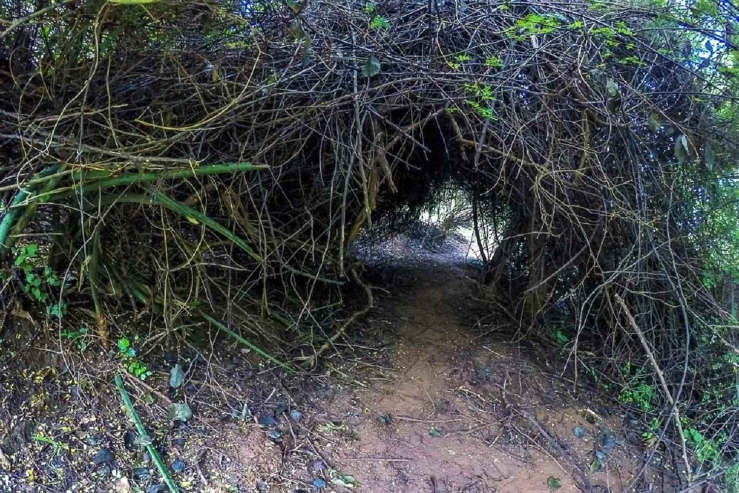 Nairobi: Namanga Hills Ol Donyo Orok Guided Hike Day Trip