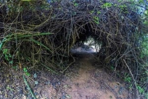 Nairobi: Namanga Hills Ol Donyo Orok Guided Hike Day Trip