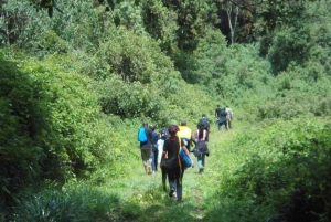 Nairobi: Namanga Hills Ol Donyo Orok Guided Hike Day Trip