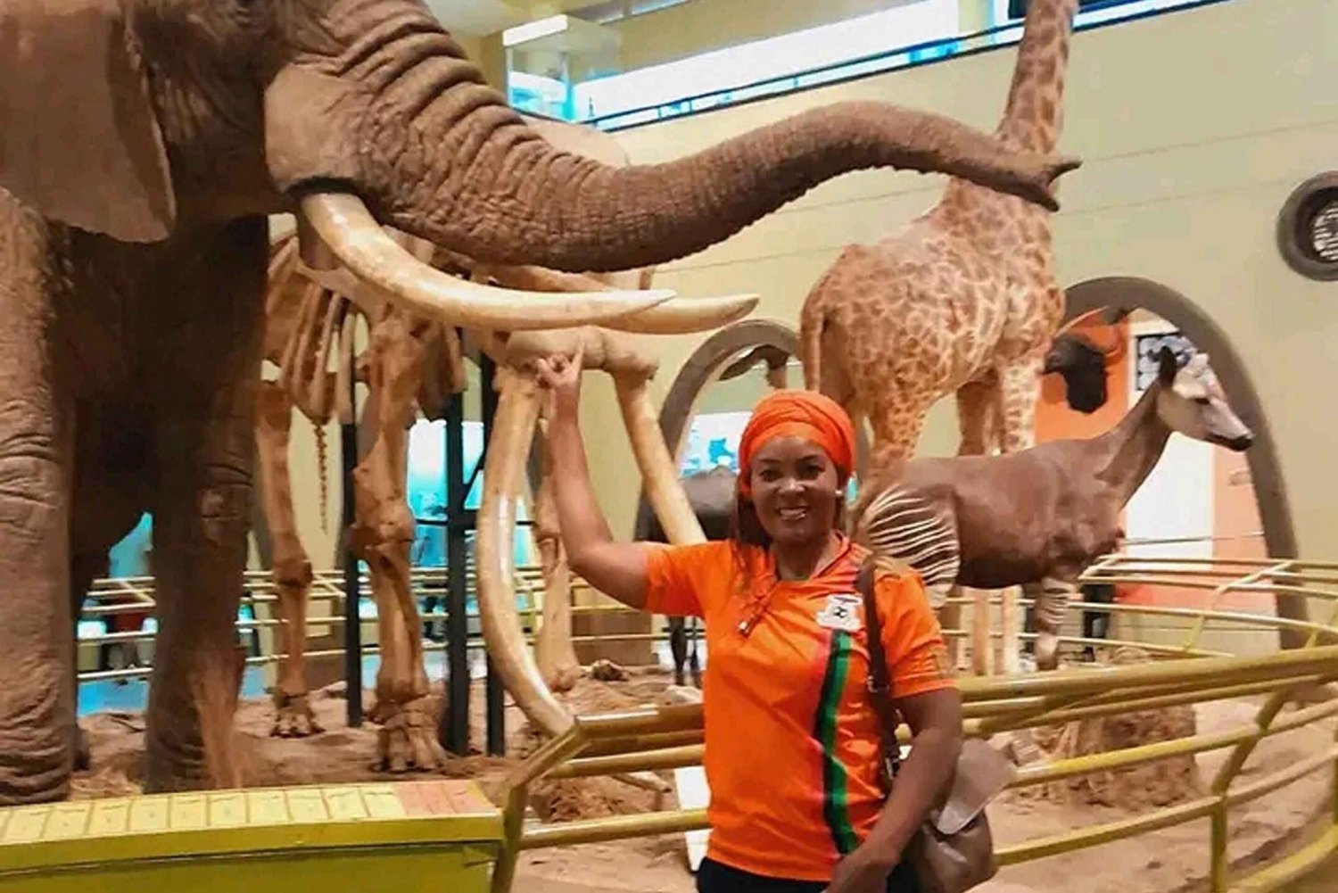 Geführte Tagestour durch das Nairobi Nationalmuseum und den Schlangenpark.