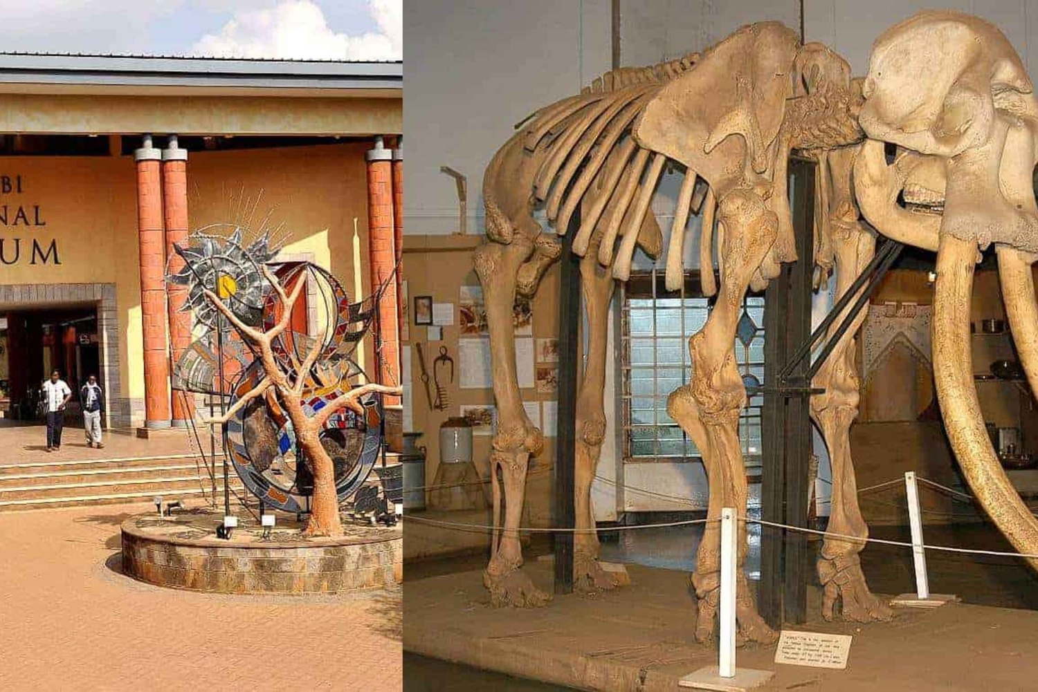 Guidet dagstur til Nairobis nasjonalmuseum og slangepark