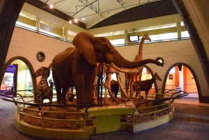 Nairobi Nationalmuseum och ormpark Guidad dagstur