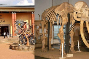 Jednodniowa wycieczka z przewodnikiem po Muzeum Narodowym Nairobi i Parku Węży