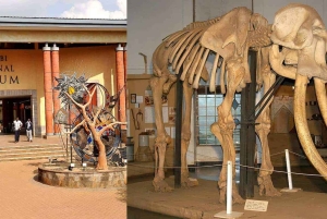 Guidet dagstur til Nairobis nasjonalmuseum og slangepark