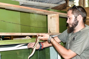 Guidet dagstur til Nairobis nasjonalmuseum og slangepark