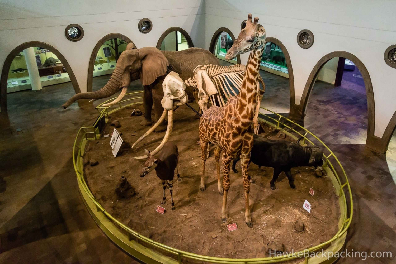 Nairobi National Museum, Giraffe Center & Bomas of Kenya