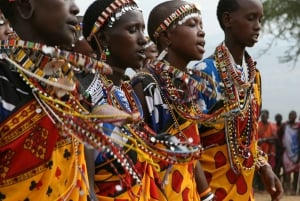 Nairobi National Museum, Giraffe Center & Bomas of Kenya